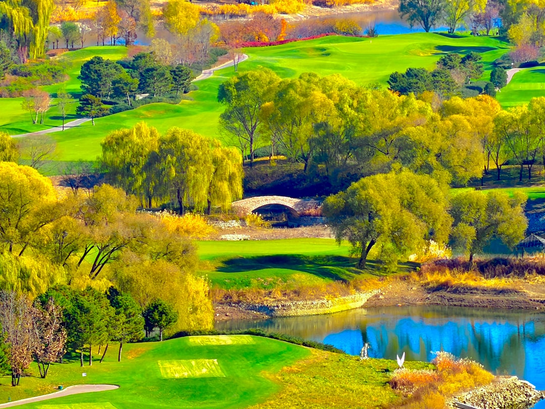 ゴルフコースの風景